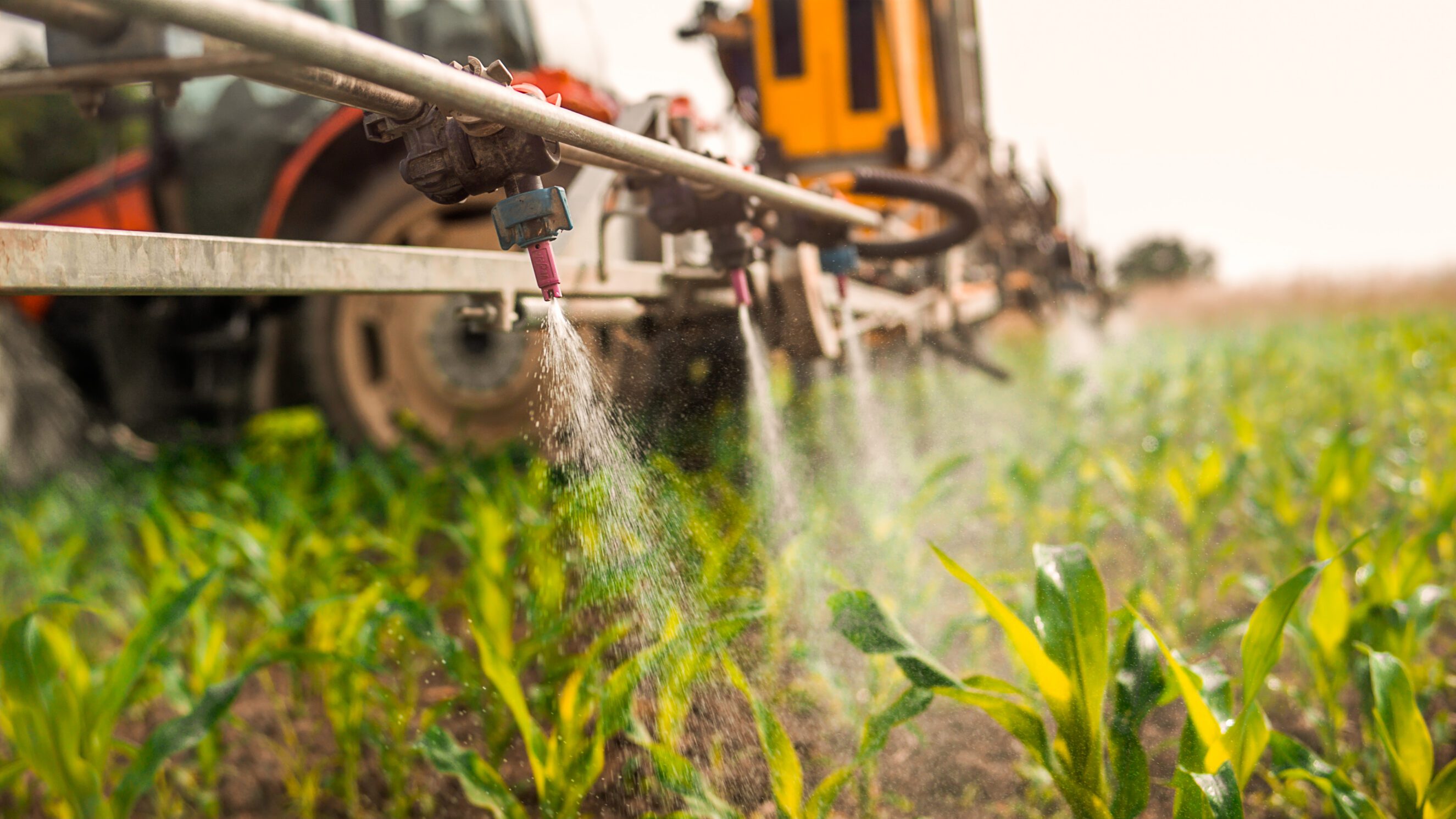 Sprayer nozzle spraying young corn in field, Practical Farm Research